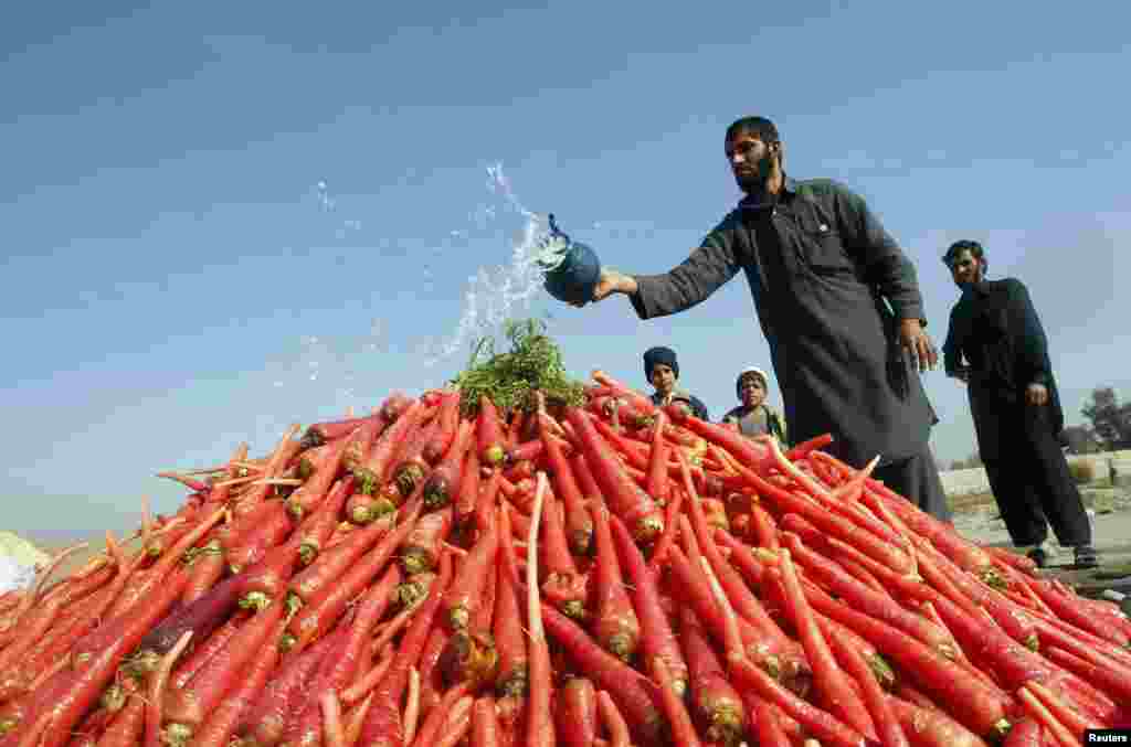 A vendor throws water on a pile of carrots as he waits for customers on the outskirts of Jalalabad, Afghanistan. (Reuters/Parwiz)