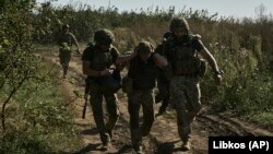 илустрација