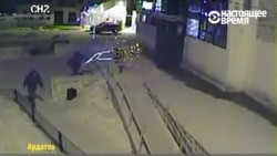 С Новым Годом: как воруют елки (видео)