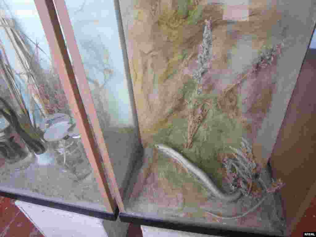 Осорхонаи Хатлон #99