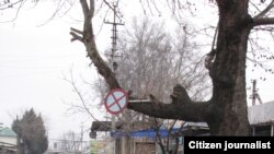 Ба озмуни "Ончи мебинам"