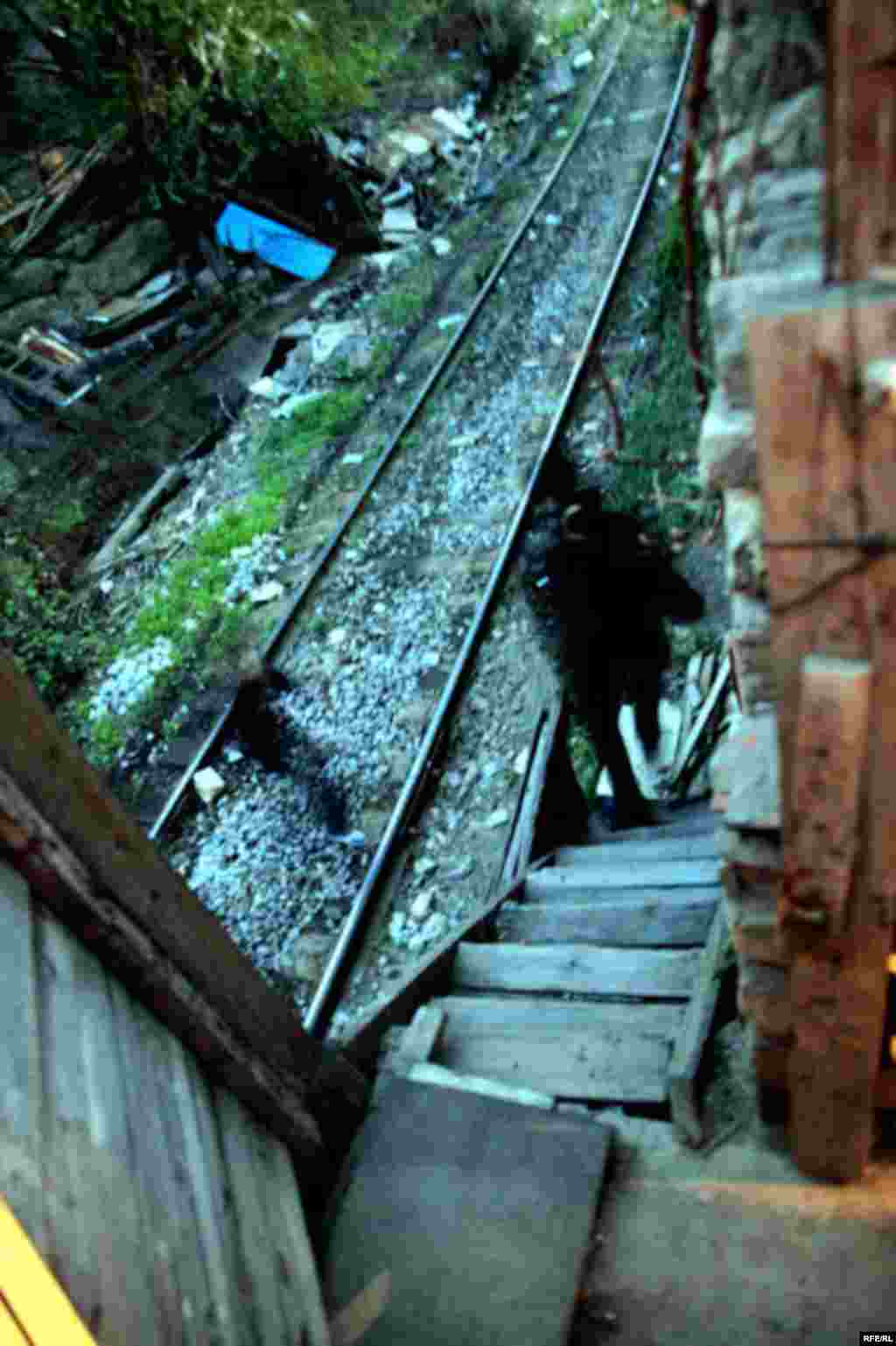 Bakının Şanxayı #17