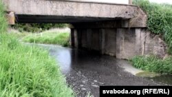 Ілюстраційне фото