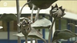 Америка: 5 лет трагедии MH17