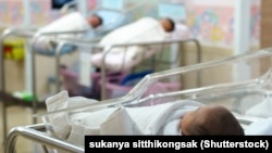 Иллюстрациялык сүрөт.