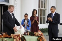 ABŞ - Ənənəyə görə bayram günü ABŞ prezidenti bir hinduşkanı əfv edir. Prezident Barak Obama, Ağ ev... 2011-ci il
