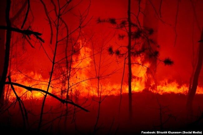 Лісова пожежа у Житомирській області. Літо 2020 year