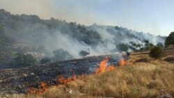 آتش‌سوزی در جنگل‌های زاگرس به بوزین و مره‌خیل رسید