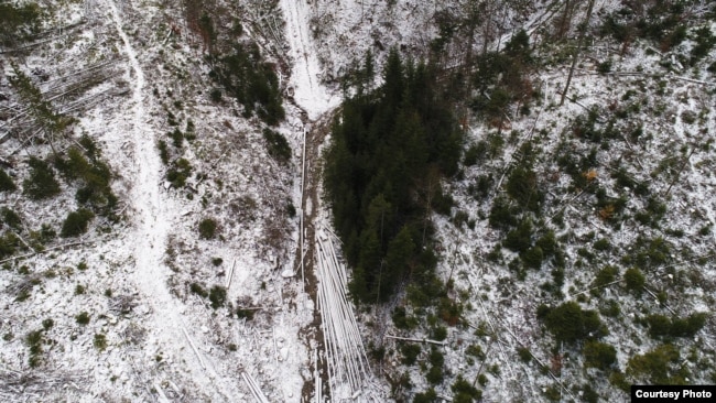 Знімок із дрона Всесвітнього фонду природи (WWF)