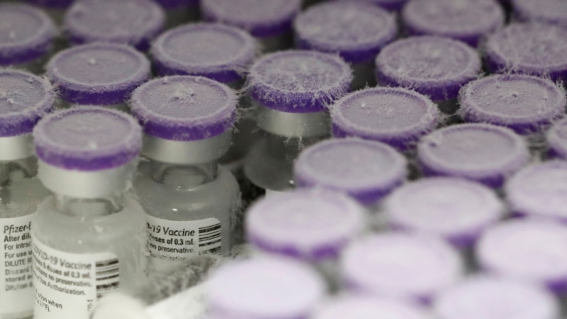 

Pehar: Pfizer prvo cjepivo protiv COVID-a 19  u Federaciji BiH