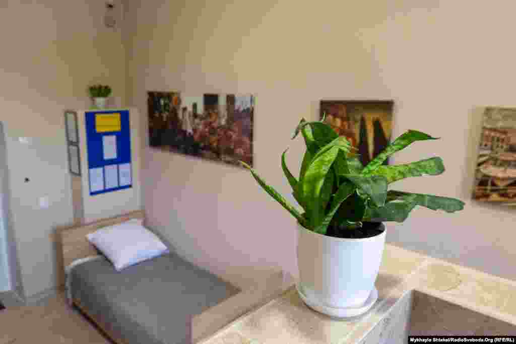 Платна камера на три особи &ndash; на стінах картини, на шафах &ndash; зелені рослини&nbsp;