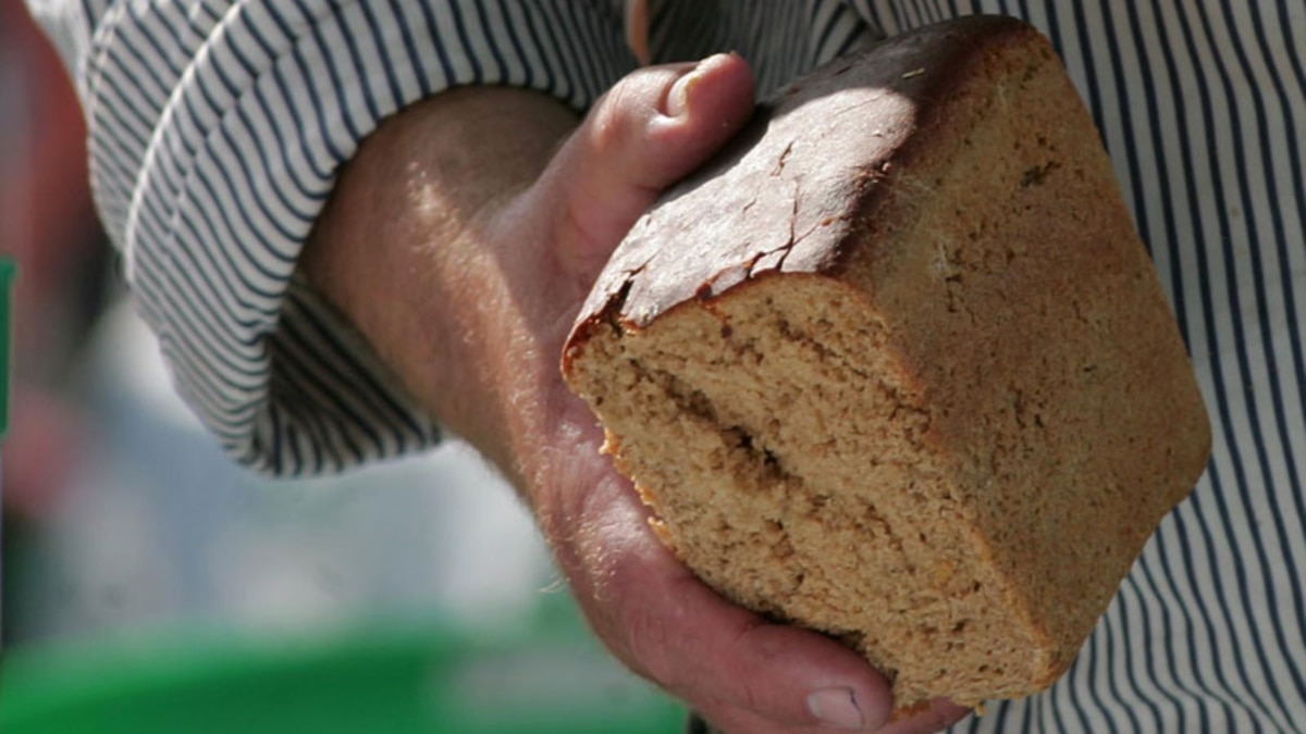 Кража хлеба. Хлеб в россии. Бедный старик. Хлеб войны. Украл хлеб в ларьке.