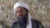 World: Capturing Al-Qaeda's Leadership Would Not Guarantee End To Bloodshed