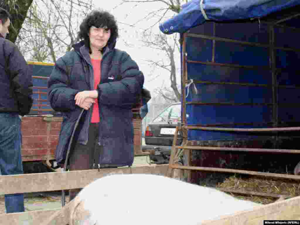 Loša prodaja - Milija iz Klašnica, koja se već 15 godina bavi uzgojem i prodajom svinja, 18.02.2011. Foto: Milorad Milojević 