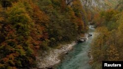 Rijeka Tara (na fotografiji) ugrožena je zbog planova o izgradnji HE Buk Bijela na rijeci Drini u BiH