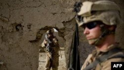 U.S. Marines on patrol in Helmand Province 