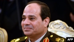 Field Marshal Abdel Fattah al-Sisi (file photo)