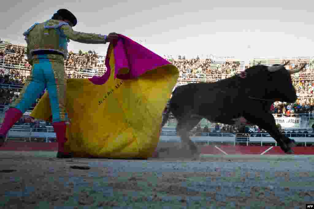 A Spanish matador, Juan Del Alamo, performs a pass on a Baltazar Iban bull during the Easter feria in Arles, southern France. (AFP/Bertrand Langlois)