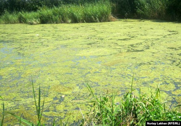 Карта Алматинской Области Карасайский Район