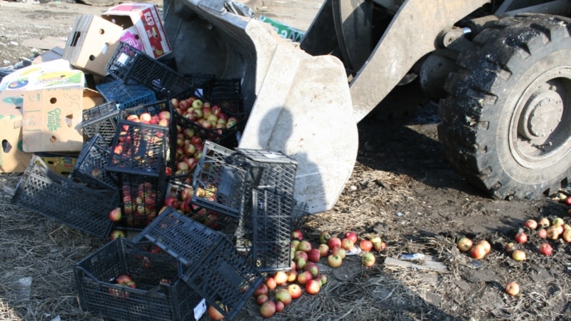Во Владикавказе уничтожили польские яблоки
