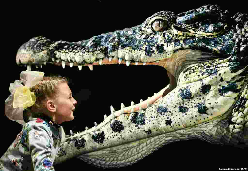 Девочка на фоне работы &quot;Кубинский крокодил&quot; фотографа Тима Флаха на выставке в Москве.&nbsp;(AFP/Александр Неменов)