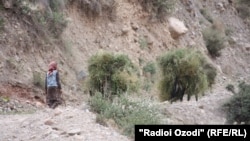 Деҳае дар ноҳияи Айнӣ. Акс аз бойгонӣ