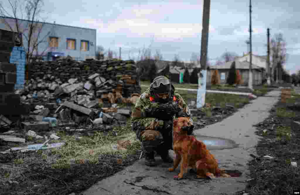 Український солдат грається з собакою на блокпосту біля Дебальцева, 24 грудня 2014 року