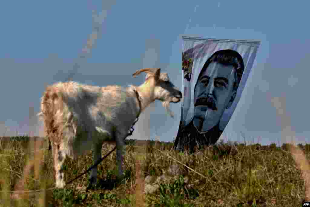 The Russian Boxing Federation lifts a portrait of Soviet leader Josef Stalin with a hot air balloon, close to the city of Belogorsk, Crimea. (AFP)