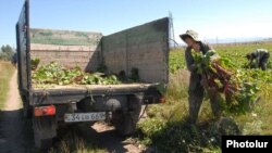 Armenia - Farmers in Gegharkunik Province.