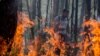 Преступная глупость: как в России тушат лесные пожары