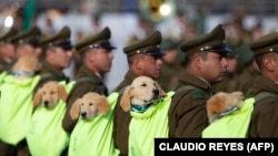 anniversary of Chile's independence