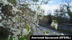 Селище Нікіта, Крим, марта 2018 рік