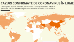 Cazuri confirmare de coronavirus la nivel mondial