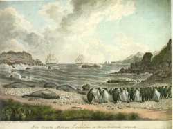 Каменистый пляж на острове Маккуори к югу от Новой Зеландии, в 1820 году населеный пингвинами и тюленями