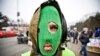 A masked antigovernment demonstrator