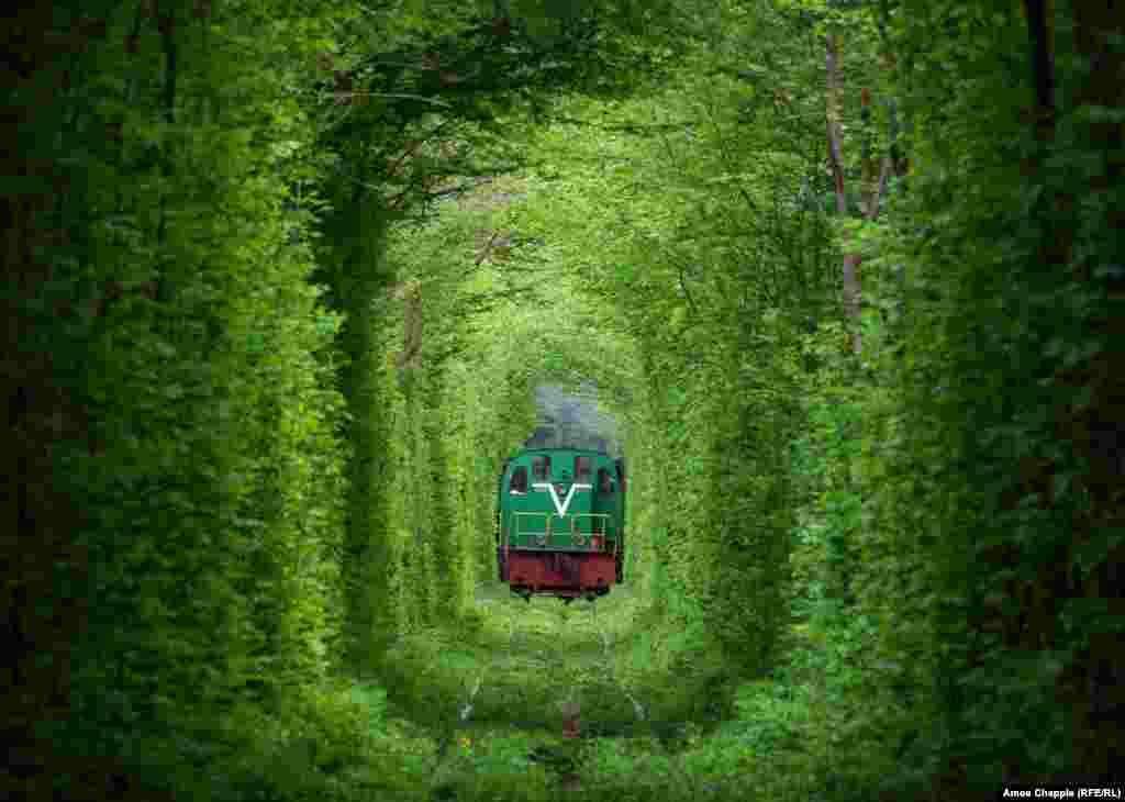 But the factory managers know that the tunnel they have helped shape is now bigger than their own authority. The tunnel has no official protection and in 2013, the year after this picture was taken, there was an outcry when several trees were cut down to aid passage of the train. Not a tree has been touched since. 