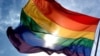 مبارزه با همجنسگرا - هراسی در یک کشور «هوموفوب»