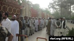 په هرات کې ډلې ډلې خلک ټاکنو ته روان دي