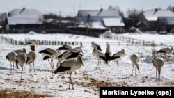 В Україну прийшло похолодання (фото ілюстративне)