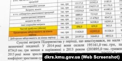 Аудиторський звіт Державної фінансової інспекції діяльності підприємтсва «Імпульс»