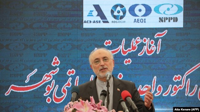 علی اکبر صالحی، رئیس سازمان انرژی اتمی ایران.