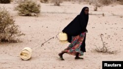 Kenyadan 50 yaşlı qadın ailəsinə su aparır. 21 iyul 2011
