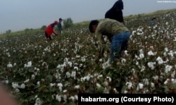 Turkmenistan has been widely criticized for forcing students, public- and private-sector employees, and soldiers to harvest cotton.