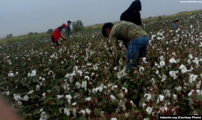 Turkmenistan has been widely criticized for forcing students, public- and private-sector employees, and soldiers to harvest cotton.