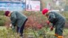 Two Moldovan women work against the backdrop of an electoral campaign poster for presidential front-runner Igor Dodon in Chisinau on October 27. 