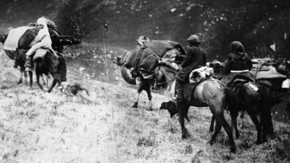 Кунилингустан камминг туралы бейнелер Жалаңаш сұлулардың керемет бейнебаяны