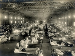 Ліжка з пацієнтами в таборі «Кемп Фанстон» (США) в період пандемії грипу «іспанки», близько 1918 року