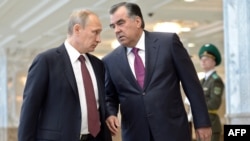 Президент России Владимир Путин (слева) и президент Таджикистана Эмомали Рахмон (справа) во время встречи в Минске. 10 октября 2014 года.