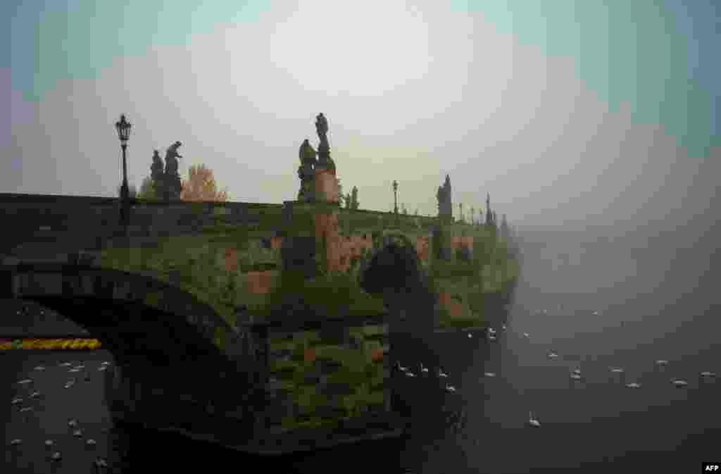Карлаў мост туманным ранкам (Прага, Чэхія).&nbsp;