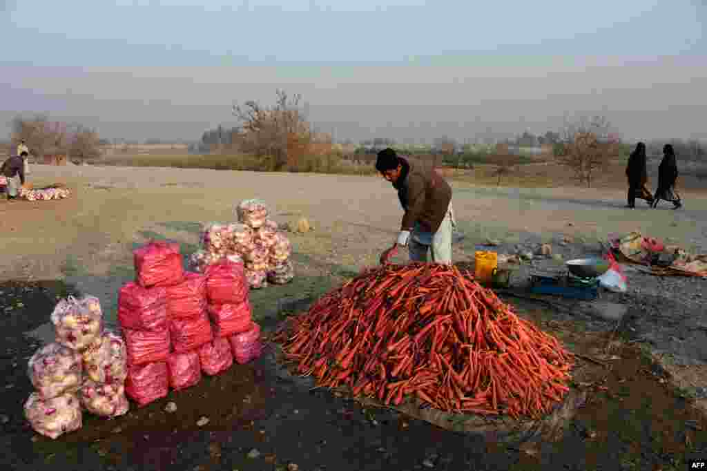 An Afghan vendor arranges a mound of harvested carrots in Jalalabad on December 19. (AFP/​Noorullah Shirzada)